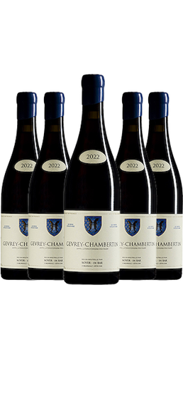 Gevrey-Chambertin 10+2